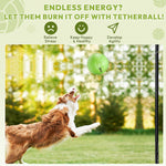 Load image into Gallery viewer, A11N Heavy-Duty Tetherball Set with Ball &amp; Rope
