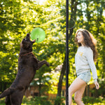 Load image into Gallery viewer, A11N Heavy-Duty Tetherball Set with Ball &amp; Rope
