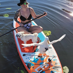 Load image into Gallery viewer, swonder 10&#39; paddleboard
