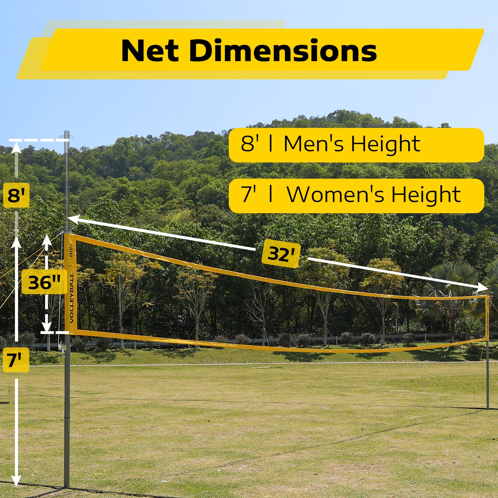 volleyball net dimensions